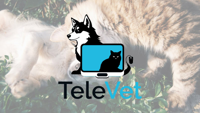 TeleVet